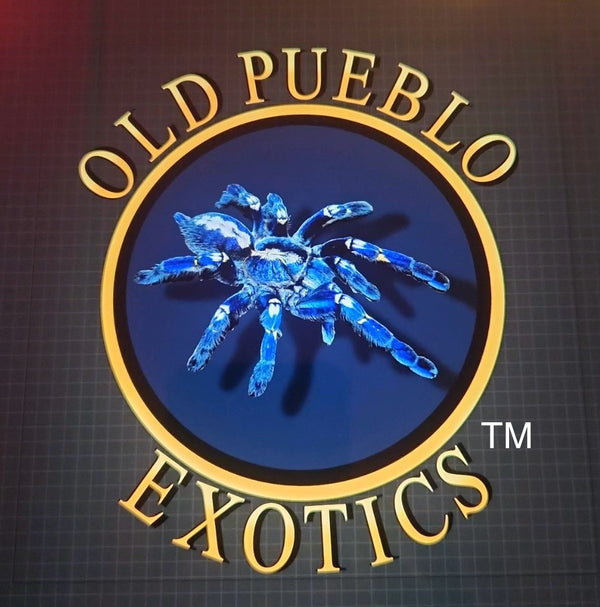 Old Pueblo Exotics