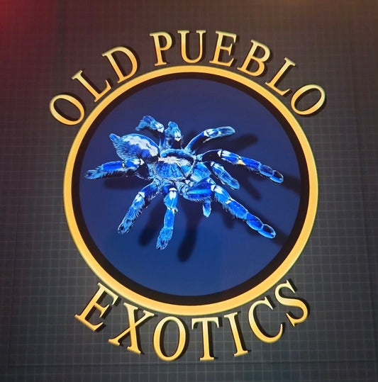 OPE The best gift card