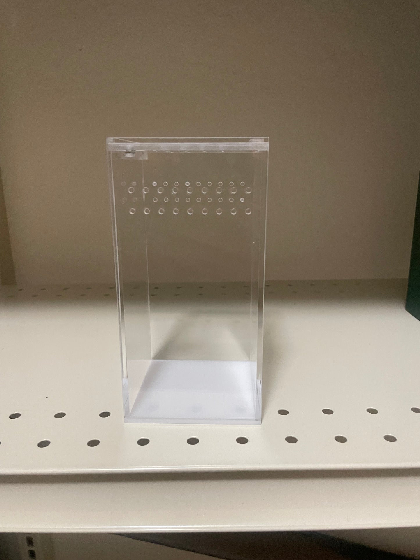 Herpcult Aboreal sling enclosure 3x3x6”