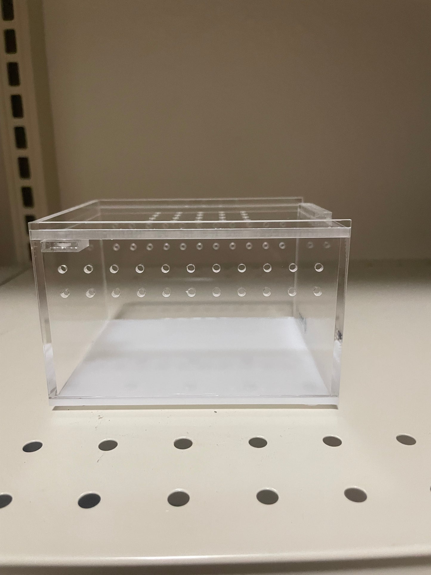 Herpcult terrestrial sling enclosure 4.3x3.4x2.8”