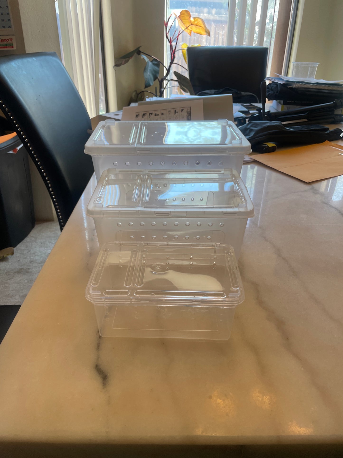 Keeper/grow out boxes affordable spider enclosures