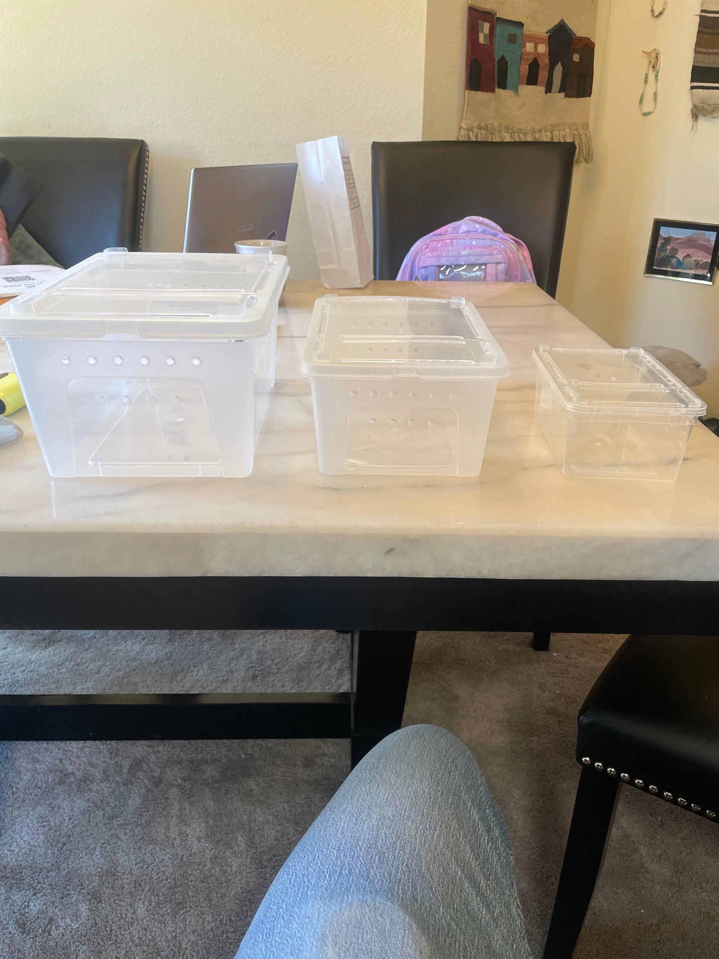 Keeper/grow out boxes affordable spider enclosures